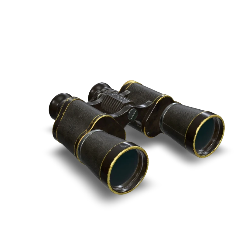 A pair of vintage binoculars.